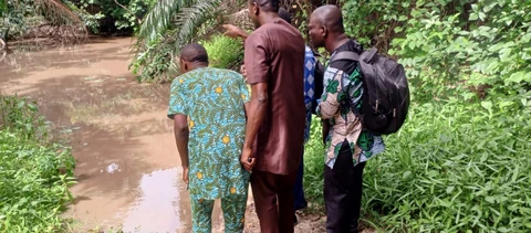 Ló tɔ Ouessè Savalou tɔn 