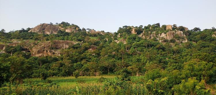 Bannière 